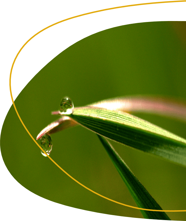 systemisch_onderwijs